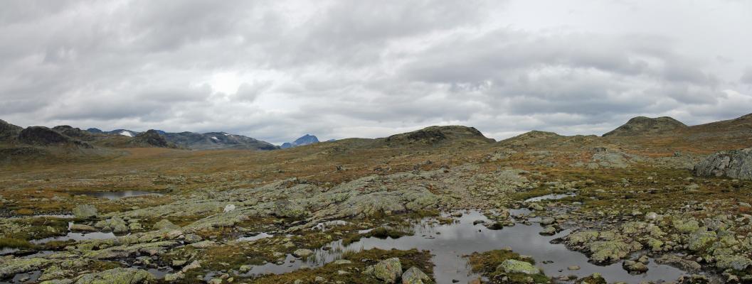 Der höchste Punkt zwischen Geithøe und Rundtom kommt in Sicht