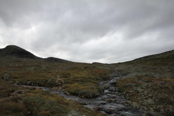 Abzweigung ins Rauddalen