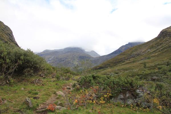 Weg im Storådalen