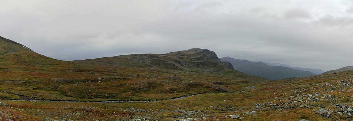 Ruonas