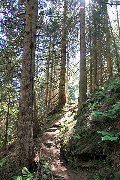 Bergweg bei Fop Tiamarsch