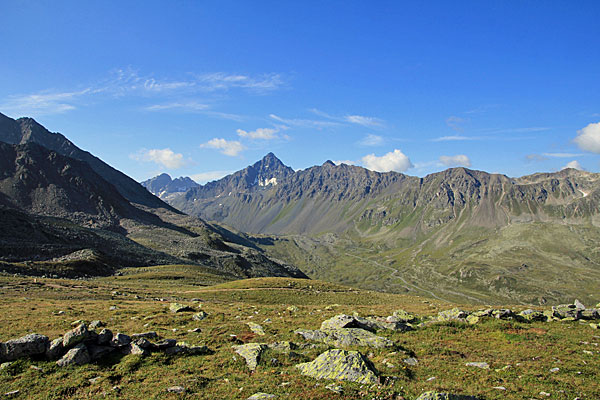 Blick zum Flüelapass und Schwarzhorn