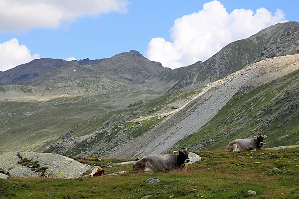Blick zur Jöriflüelafurgga