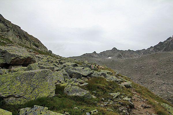 Bergwanderweg zum Pass Fuorcla Radönt