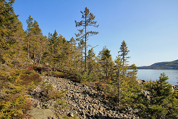 Grönsviksfjärden