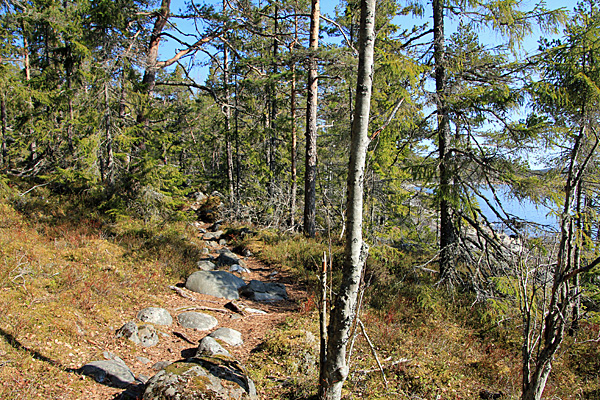 Am Ufer der Bucht Grönsviksfjärden