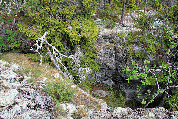 Grottor