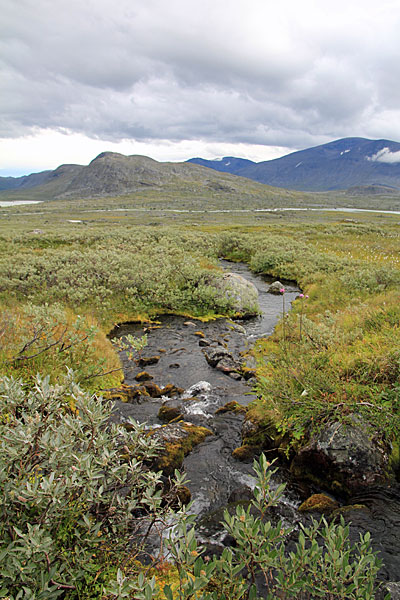 Bach am Berghang Njavvebuollda