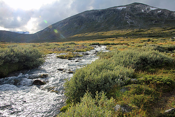 Lulep Niendojågåsj