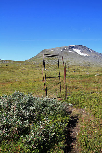 Tür im Rentierzaun