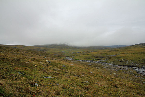 Abstieg zum Sumpfgebiet