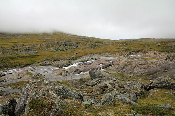 Árasjåhkå