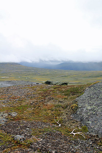 Blick zum Pårka-Pass