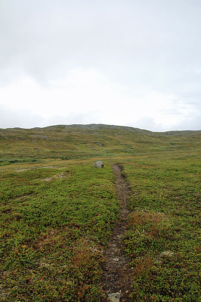 Alter Padjelantaleden