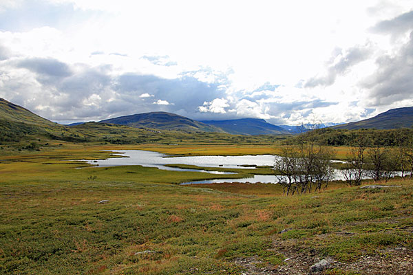 Sumpfgebiet am Viejeluoppal