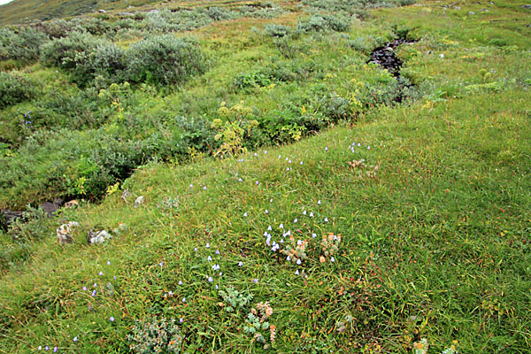 Talausgang des Viejevágge
