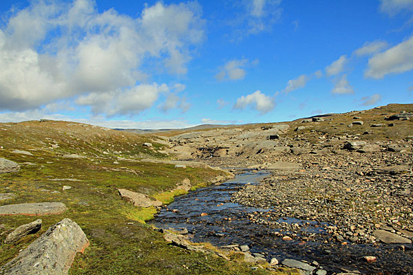 Zufluss zum See P1033