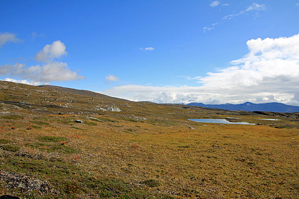 Am Berg P1180 entlang