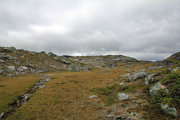 Bachlauf am See P929