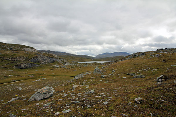 Blick zum See P929