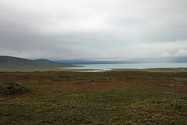 Morgens am Bieskehávrre