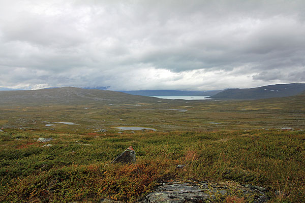 Dälbut mit Bieskehávrre