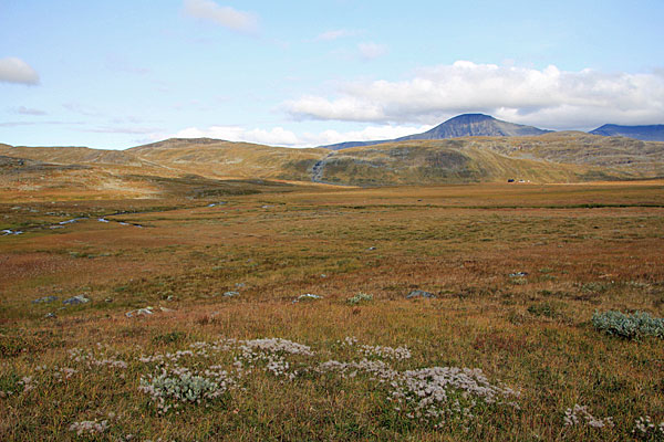 Blick Richtung Renvaktarstuga