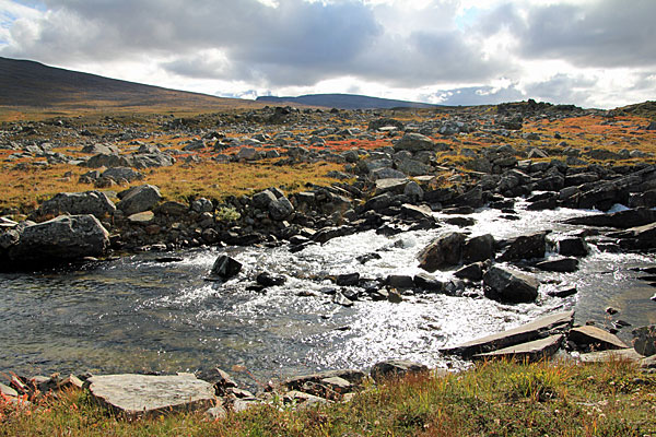 Furt am Gårssåjåhkå