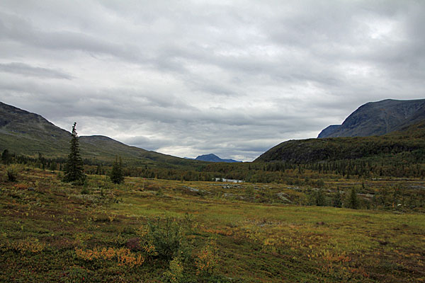 Winterweg am Darreädno