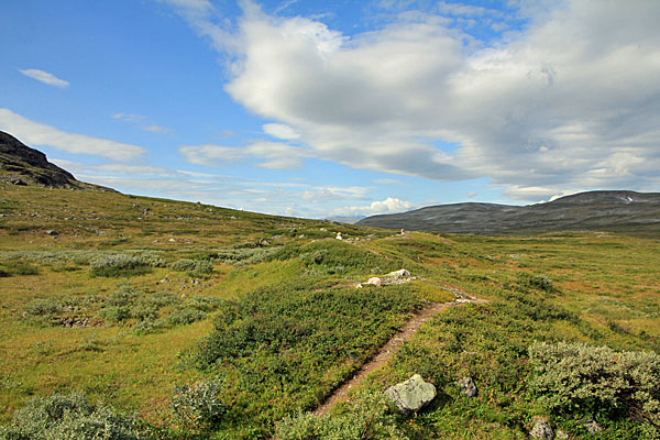 An der Nordflanke des Hárvvesoaivi