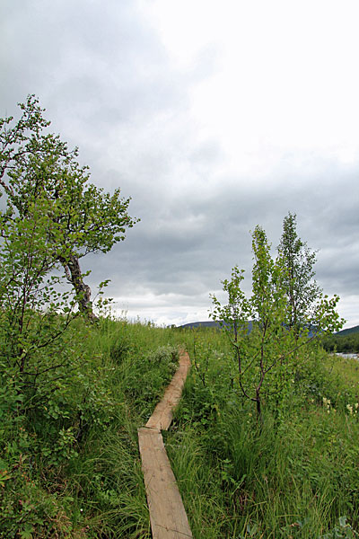 Brettersteg am Ánjajohka