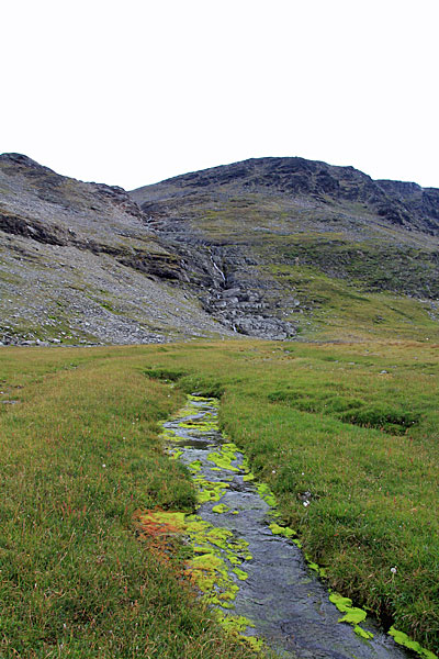 Fluss vom See P.1131