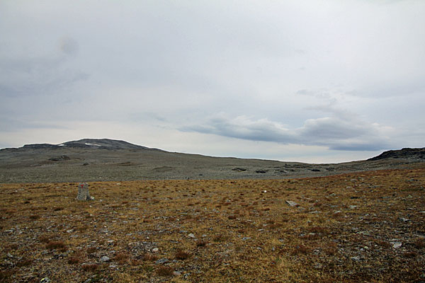 Jierdni