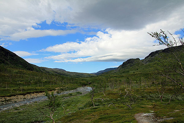 Gaskkasjohka
