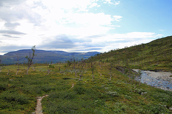 Am Gaskkasjohka entlang