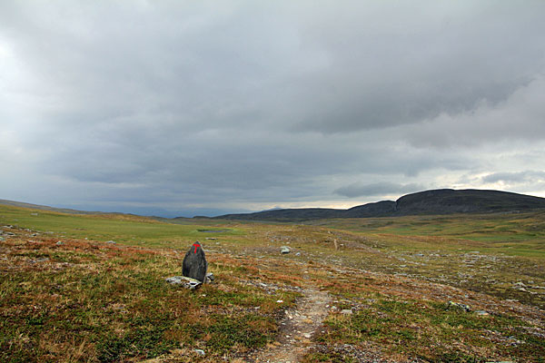 Am Riksoelva