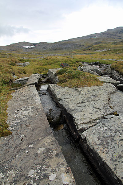 Bach im Sávzariehppi