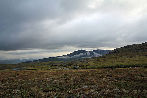 Njunis