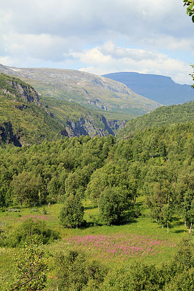 Blick zu den Felswänden des Sørdalen