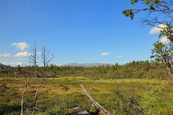 Über Sumpf und Hügel
