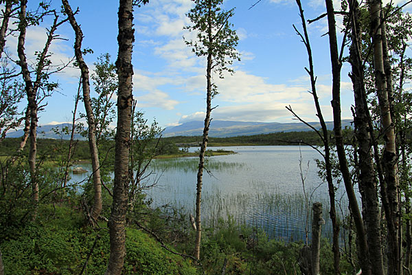 Am Báktájohkaluobbalat