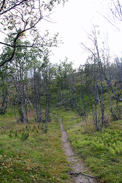Wanderweg ins Gorsavággi