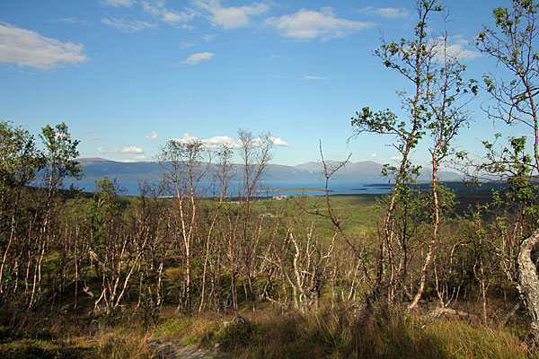 Torneträsk
