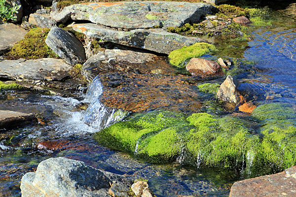 Der Bach aus dem Guoblavággi