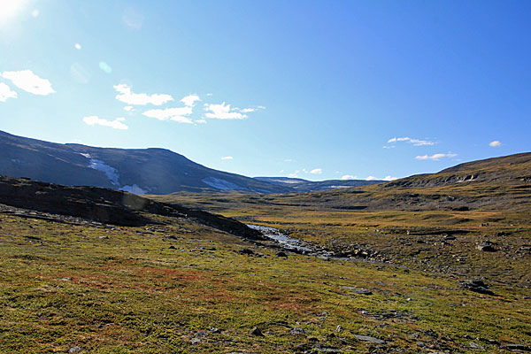 Heidekrautflächen am Gohpasjohka