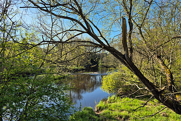 Örekilsälven