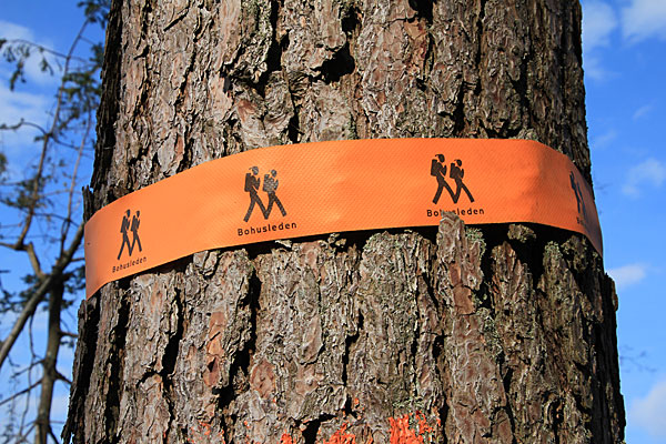 Wegmarkierung