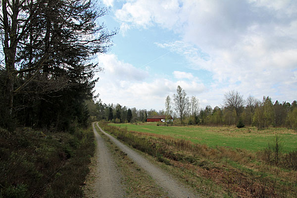 Mjövattnet