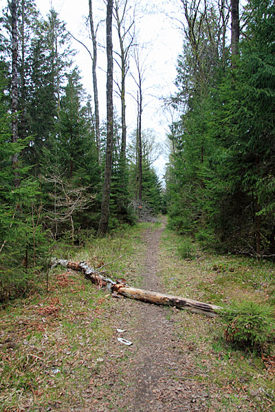 Havskuren
