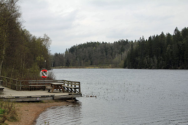 Am Bjursjön